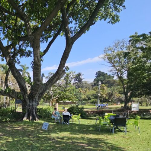 Halliwell Country Inn Forest Therapy Retreat