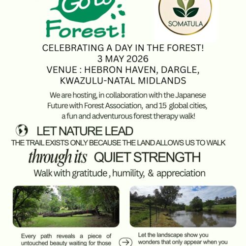 GoToForest - Celebrating a Day in the Forest, Hebron Haven