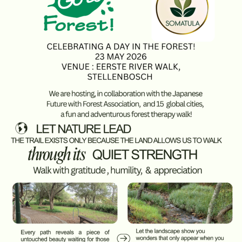 GoToForest, Eerste River Nature Walk, Stellenbosch